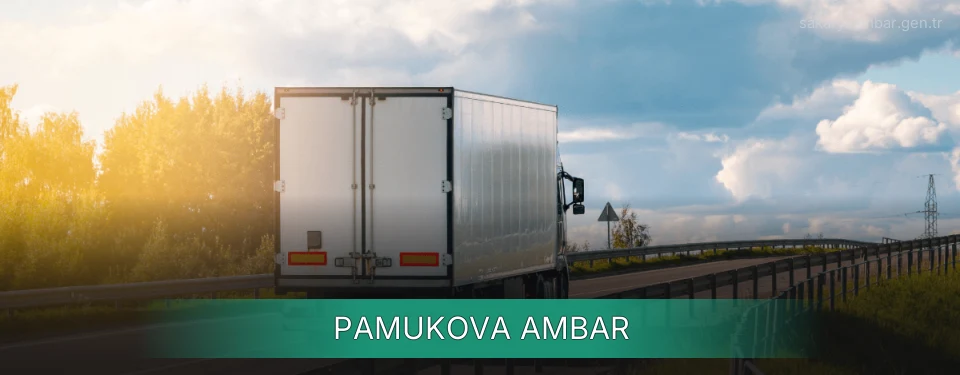 Pamukova Ambar